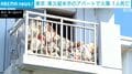 東京・東久留米市のアパートで火事 1人死亡