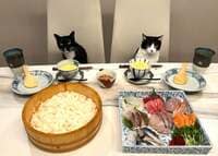 藤あや子『おうちごはん』