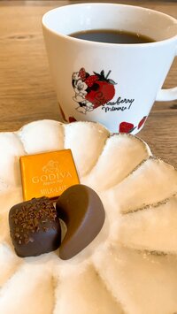 堀ちえみ『旅行の予定』