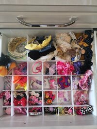 蛯原英里『娘コレクション✨』