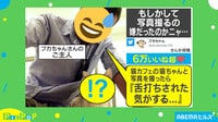 【映像】ネコと写真撮ったら舌打ちされた...?