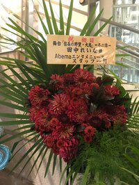 田中れいな『【祝29歳】予想もしなかった未来に……』