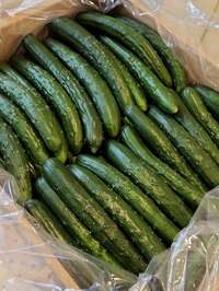 武東由美　『ど～んと届いたきゅうり！』