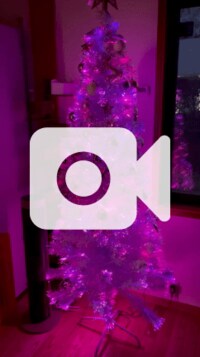 高橋真麻『今やってほしい妻と後でやるよの夫』