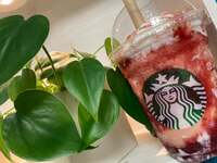 佐藤友美『めでたい！！！』