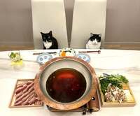 藤あや子『昨日の晩ごはん』