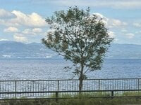 中島知子『中島知子の移住のススメ。』