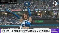 【映像】可愛すぎる“きつねダンス”のFガール、今年はヒツジで勝負 