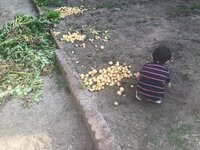 北別府学『実は』