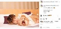 白濱亜嵐の“愛犬バックハグ”ショットに悶絶の声「可愛すぎて悩殺」「レックスになりたい」