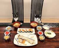 藤あや子『昨日の晩ごはん』