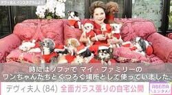 デヴィ夫人、全面ガラス張りの自宅の一室を公開「昔はよく絵を描くアトリエにしていたり、マイ・ファミリーのワンちゃん達と寛ぐ場所として使っていました」