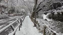 “最強寒波”けさ都心氷点下　2年ぶり積雪5cm事故続出　慣れない雪で“交通マヒ”