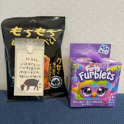  北斗晶、丸山桂里奈からもらった孫へのプレゼント「本当にありがとう」 