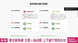 東北新幹線 大宮～仙台駅 上下線で見合わせ