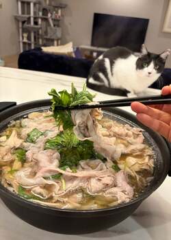 藤あや子、お取り寄せした黒豚のしゃぶしゃぶ鍋を堪能「エンドレスに食べられます」