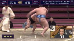 照強、してやったりの「片足タックル」炸裂 サラブレッド琴ノ若を仰向け