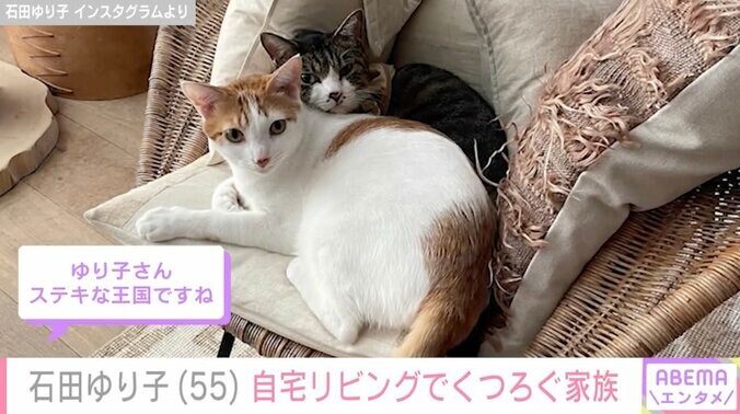 リビングでくつろぐ愛猫たち