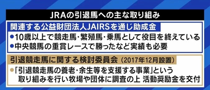 「走れなくなっただけでお肉にしてしまうのはもったいない」馬刺し・家畜の餌になるケースも…競走馬、年間1万頭の“余生”を考える 10枚目