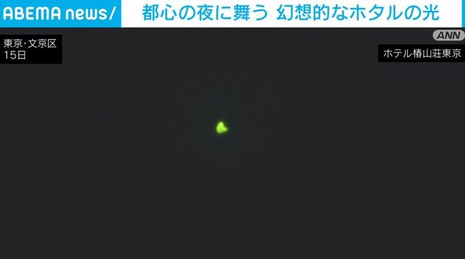 ホタル