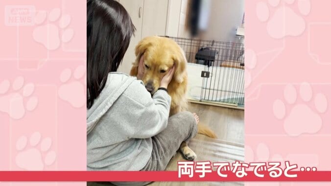 両手でなでると…