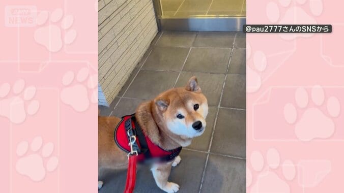 振り返ると悲しげな表情