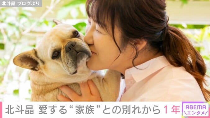 【写真・画像】北斗晶（58）、愛犬との別れから1年が経った心境を明かす「写真や動画を見ては においやぬくもりを思い出して…」　2枚目