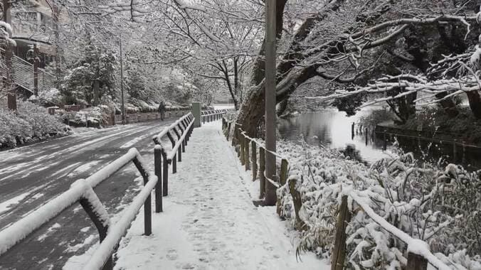 “最強寒波”けさ都心氷点下　2年ぶり積雪5cm事故続出　慣れない雪で“交通マヒ” 1枚目