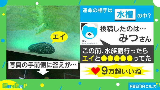 「ええコーデ」水族館で運命の出会い!? 水槽の生物と驚きのペアルック 1枚目