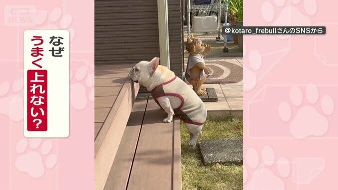 なぜうまく上れない？