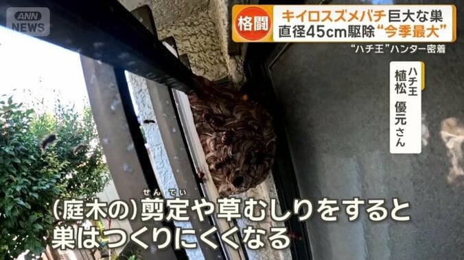 巣の予防は？