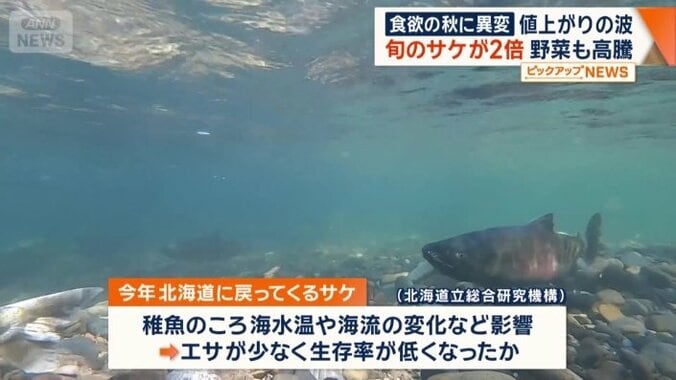サケ不漁