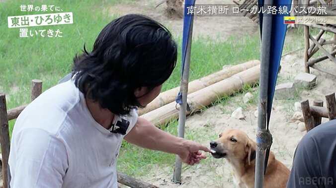 【写真・画像】東出昌大、南米の野良犬との触れ合いが話題に「狂犬病気をつけて」心配するファンに説明も　4枚目