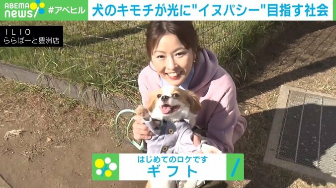 あなたは犬の気持ちが本当にわかっている？ 愛犬の感情を知る「イヌパシー」とは 2枚目