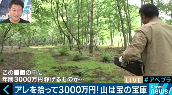 カブトムシやコケを売って年間3000万円の売上も…日本の山が持つ意外なポテンシャル 5枚目