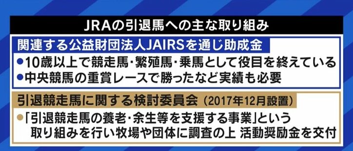 「走れなくなっただけでお肉にしてしまうのはもったいない」馬刺し・家畜の餌になるケースも…競走馬、年間1万頭の“余生”を考える