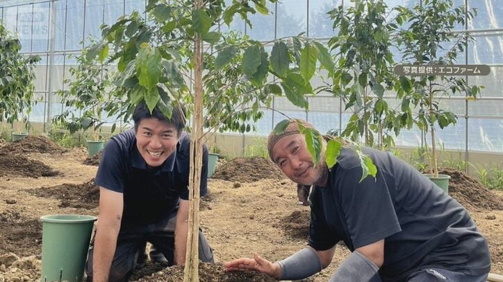 埼玉県を「コーヒーの産地に」 農業未経験から一念発起 台風被害乗り越え販売へ