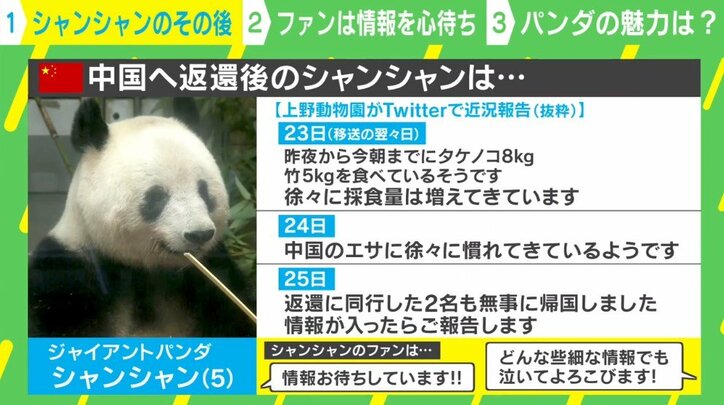 上野動物園「シャンシャン」の成長記録 返還後もファンは続報を心待ちに「どんな些細な情報でも泣いてよろこびます」