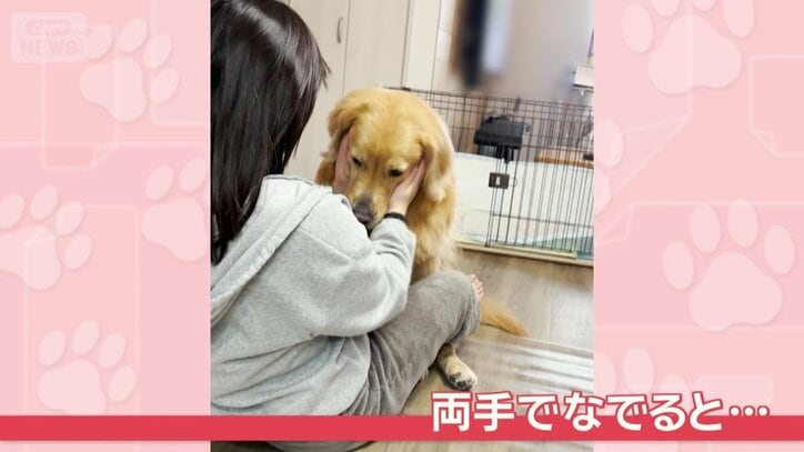 両手でなでると…