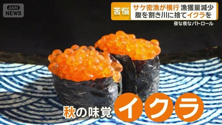 秋の味覚イクラ