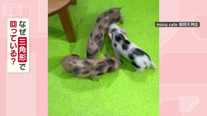 なぜ三角形で回っている？