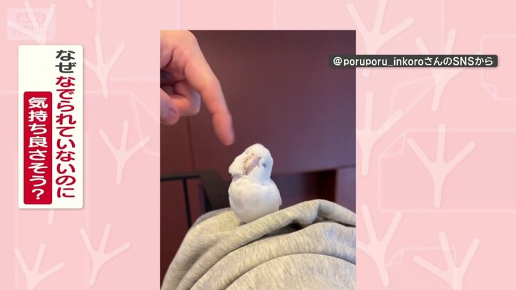 なぜ気持ち良さそう？