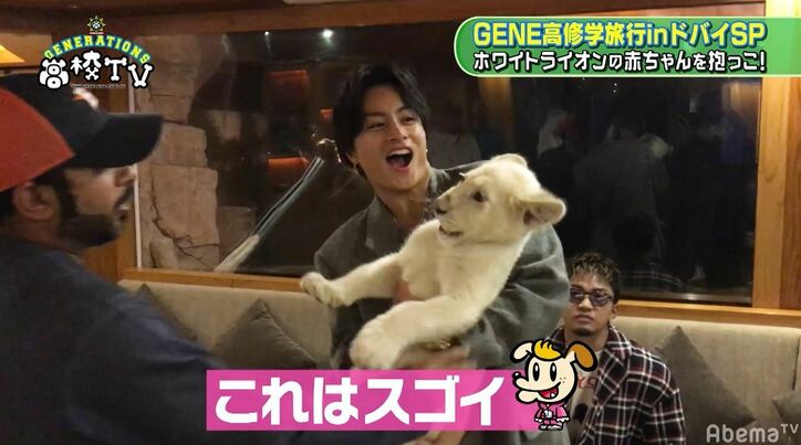 GENERATIONS、かわいすぎるホワイトライオンの赤ちゃんにメロメロ…