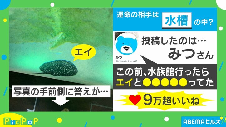 「ええコーデ」水族館で運命の出会い!? 水槽の生物と驚きのペアルック