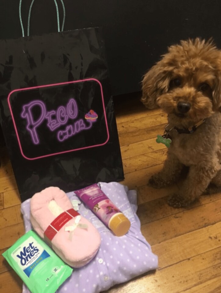 りゅうちぇるの“優男っぷり”を美人姉が報告「ありがとうってLINEくれたり」　　