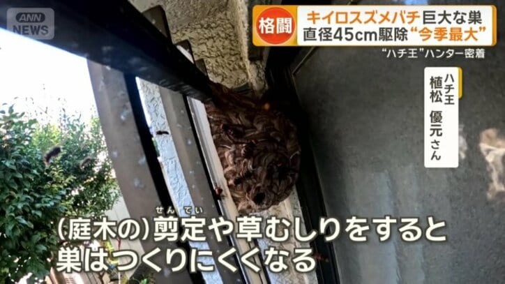 巣の予防は？