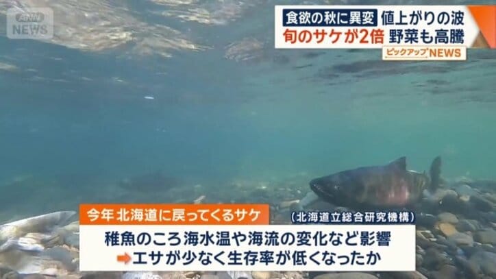 サケ不漁