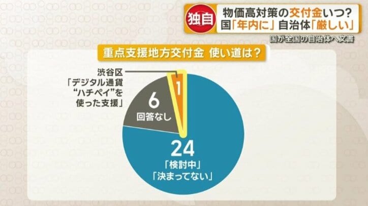 重点支援地方交付金の使い道は？