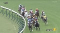 「可愛すぎる！」注目の“おてんば”白毛馬がデビュー！ 父はあの名馬…親譲りの“じゃじゃ馬全開”にファン歓喜「応援したい」
