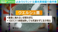 【映像】よみうりランドで62人が食中毒に(食べたメニュー)